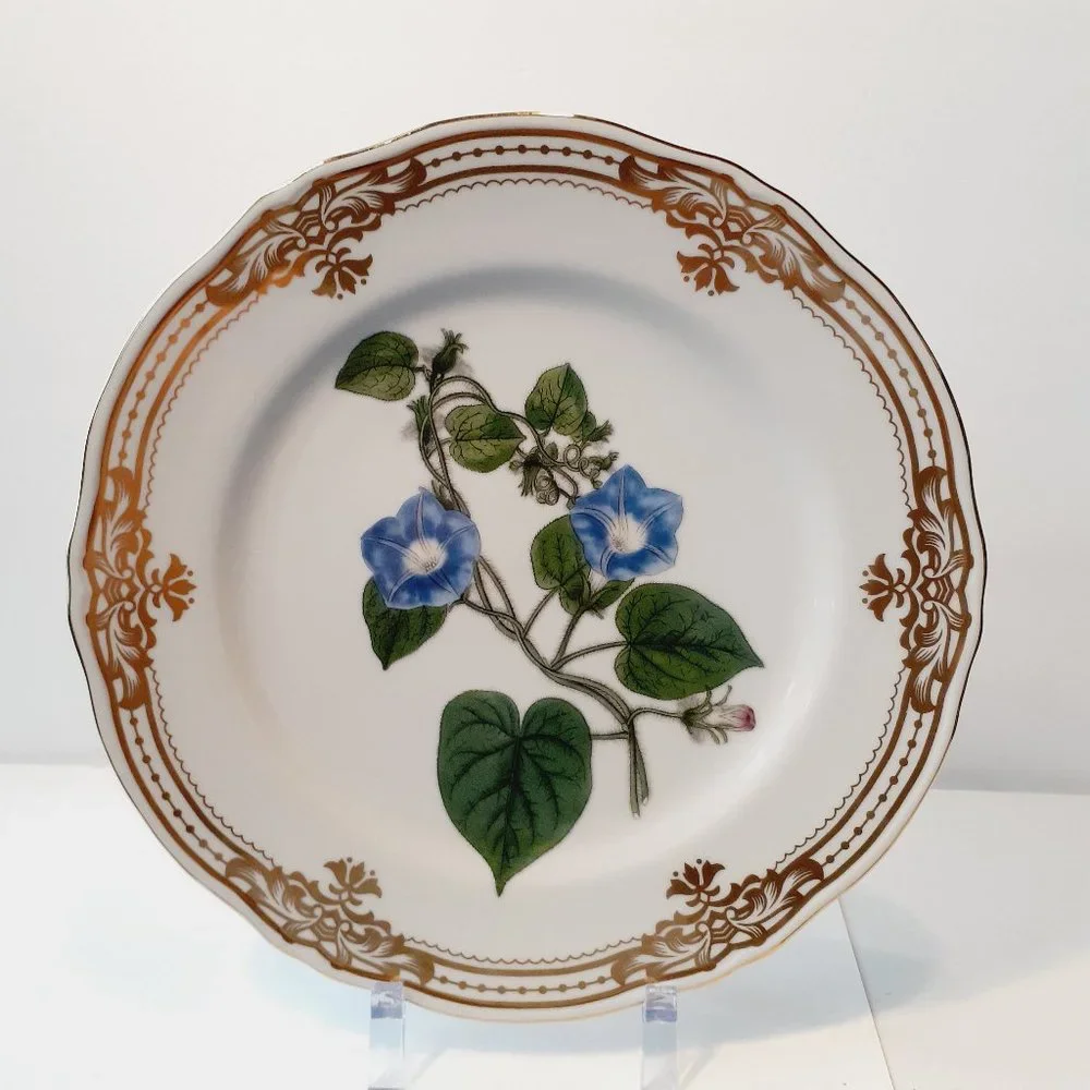 Andrea by Sadek, Golden Botanical by Robert Sweet 1824 London Plate 10 1/2"- - Picture 1 of 8